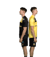 Handball Sticker by HSC 2000 Coburg