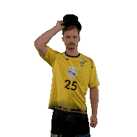 Handball Coburg Sticker by DAIKIN HBL