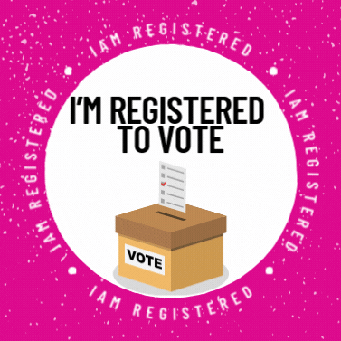 TheMuslimVote giphyupload GIF