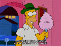 homer simpson GIF