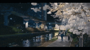 Junwon Jjw GIF