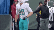 Miami Dolphins Football GIF by NFL