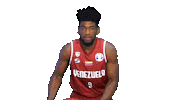 World Cup Sticker by FIBA