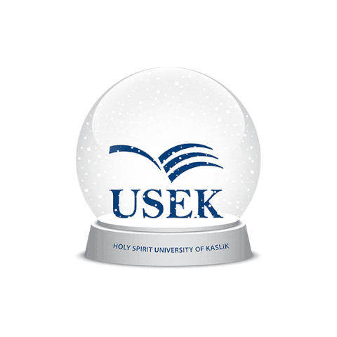 Christmas Snow Sticker by Holy Spirit University of Kaslik