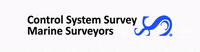 controlsystemsurvey  GIF