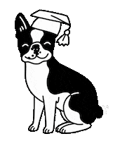 Psí Prostor Sticker