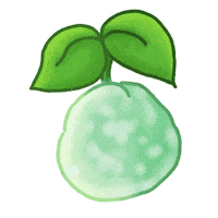 Fruit Grapefruit Sticker