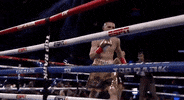 toprank fight boxing fighting espn GIF