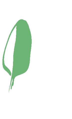 Plants Leaves Sticker