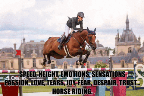 Equestrian_News giphygifmaker love joy speed GIF