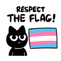 Cat Love GIF by Bare Tree Media