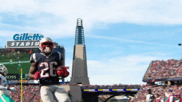 2018 Nfl Football GIF by New England Patriots