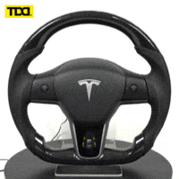 Tesla Teslamodel3 GIF by tddmotors