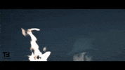 Harrison Ford Video GIF by TheFactory.video