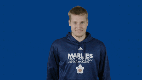 Hockey No GIF by Toronto Marlies