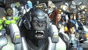 Shock Cheer GIF