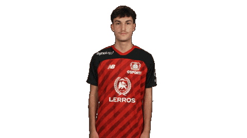 Bayer Leverkusen Esports Sticker by Bundesliga