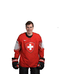 Ice Hockey Goal Sticker by International Ice Hockey Federation