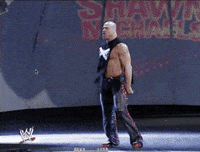 Shawn Michaels Sport GIF by WWE