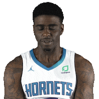 Sport Basketball Sticker by Charlotte Hornets