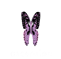 Fashion Logo Sticker by ascensiøn