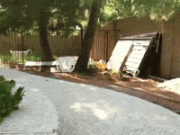 fence GIF