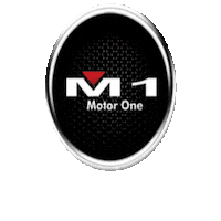 Paraguay M1 Sticker by Csk Equipamientos