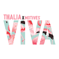 Viva La Vida Makeup Sticker by MotivesCosmetics