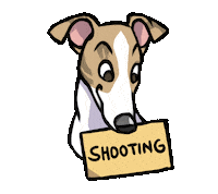 Dog Shooting Sticker