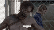 the walking dead fox GIF