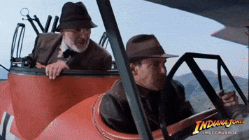 I didn't know you could fly a plane