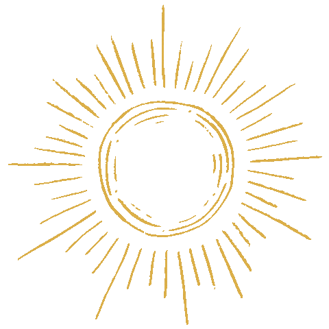 shophoneyseed giphyupload sun sunshine ethical Sticker