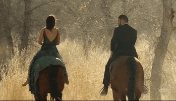 Season 17 Abc GIF by The Bachelorette