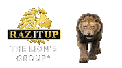 Lion King Disney Sticker by Yanni Raz