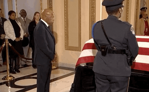 Nancy Pelosi GIF