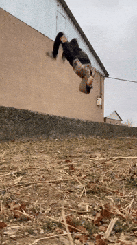 Uzbek Mocco GIF