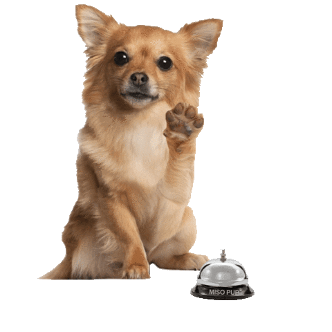 dog hello Sticker by MISO PUP