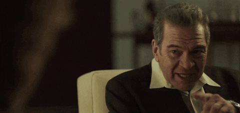 luis miguel GIF by netflixlat