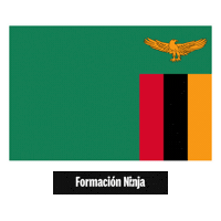 Flag Bandera Sticker by Formación Ninja