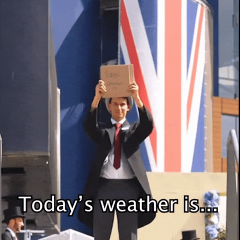 Happy Summer GIF by Ascot Racecourse