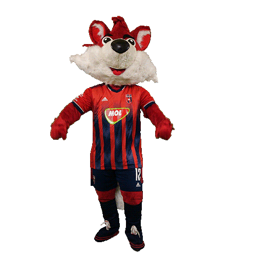 molfehervarfcgif giphyupload fox vidi roka Sticker