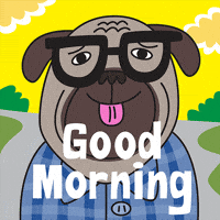 Good Morning Pug GIF by joeyahlbum