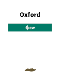 Oilseed Rape Sign Sticker by Deutsche Saatveredelung AG (DSV)