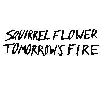 Squirrel Flower Sticker by Polyvinyl Records