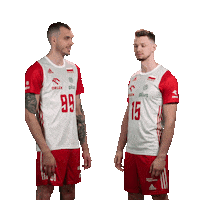 Huber Kochan Sticker by Polska Siatkowka