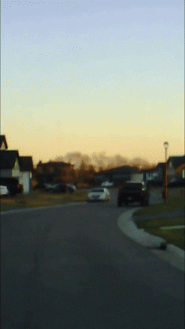 drop1shippin  GIF