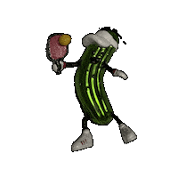 Pickleball Gurkerl Sticker