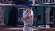 Happy Major League Baseball GIF by MLB