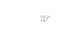 MPWRWMN halloween treasure handdrawn chest Sticker