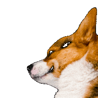 Dog Post Sticker